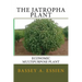 The Jatropha Plant