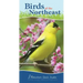 Birds of the Northeast: Your Way to Easily Identify Backyard Birds