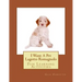 I Want A Pet Lagotto Romagnolo: Fun Learning Activities