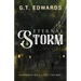 Eternal Storm