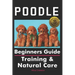 Poodle Beginners Guide: Training & Natural Care