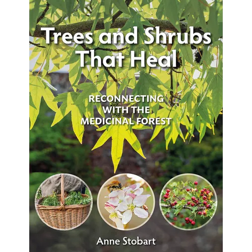 Trees and Shrubs That Heal: Reconnecting with the Medicinal Forest