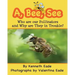 A, Bee, See: Who are our Pollinators and Why are They in Trouble?