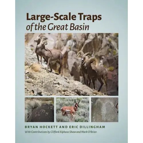 Large-Scale Traps of the Great Basin