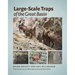 Large-Scale Traps of the Great Basin
