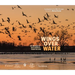 Wings Over Water: The Vital Magic of North America's Prairie Wetlands