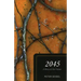 2045: A Story of Our Future