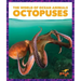 Octopuses