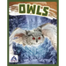 Owls