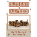 Healthy Glen of Imaal Terriers: How To Take Care Of Them, Training Tips: Treatment For Glen Of Imaal Terriers