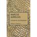 Marcus Aurelius: A Guide for the Perplexed