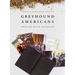 Greyhound Americans
