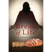 Bread of Life: Are You Feeding Your Soul Today?