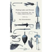 Fishing Lake and Stream - For Bass, Muskalonge, Pike, Pan Fishes, Salmon and Trout