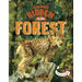 Animals Hidden in the Forest