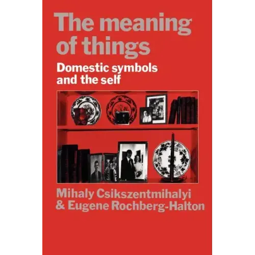 The Meaning of Things: Domestic Symbols and the Self