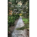 The Tales, Tails, and Trails of Triple Creek