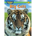 Big Cats