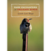 Rare Encounters with Ordinary Birds
