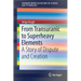 From Transuranic to Superheavy Elements: A Story of Dispute and Creation