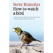 How to Watch a Bird