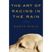 The Art of Racing in the Rain