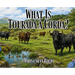 What is Tourada à Corda?