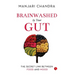 Brainwashed By Your Gut: The Secret Link between Food and Mood