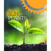 The Sun and Plants