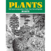 Plants: 2,400 Royalty-Free Illustrations of Flowers, Trees, Fruits and Vegetables