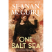 One Salt Sea