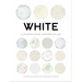 White: Exploring Color in Art