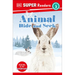 DK Super Readers Level 3 Animal Hide and Seek