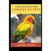 A Guide To Successfully Breed Conures As Pets: A Companion That That Worth It