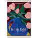 In This Light
