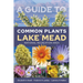 A Guide to Common Plants of Lake Mead National Recreation Area