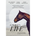 A Horse's Life: The Neuroscience of Equine Welfare