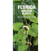 Florida Invasive Plants: A Folding Pocket Guide to Familiar Plants