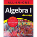 Algebra I All-In-One for Dummies
