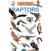 Raptors