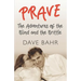 Prave: The Adventures of the Blind and the Brittle
