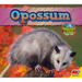 Opossum