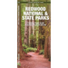 Redwood National and State Parks: An Introduction to Familiar Plants and Animals