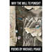 Why the Will to Punish?