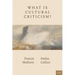 What Is Cultural Criticism?