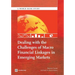 Dealing with the Challenges of Macro Financial Linkages in Emerging Markets