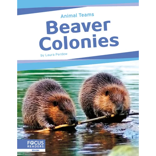 Beaver Colonies