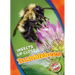 Bumblebees