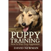 Puppy Training: How to Stop Dog Aggression