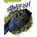 Stonefish